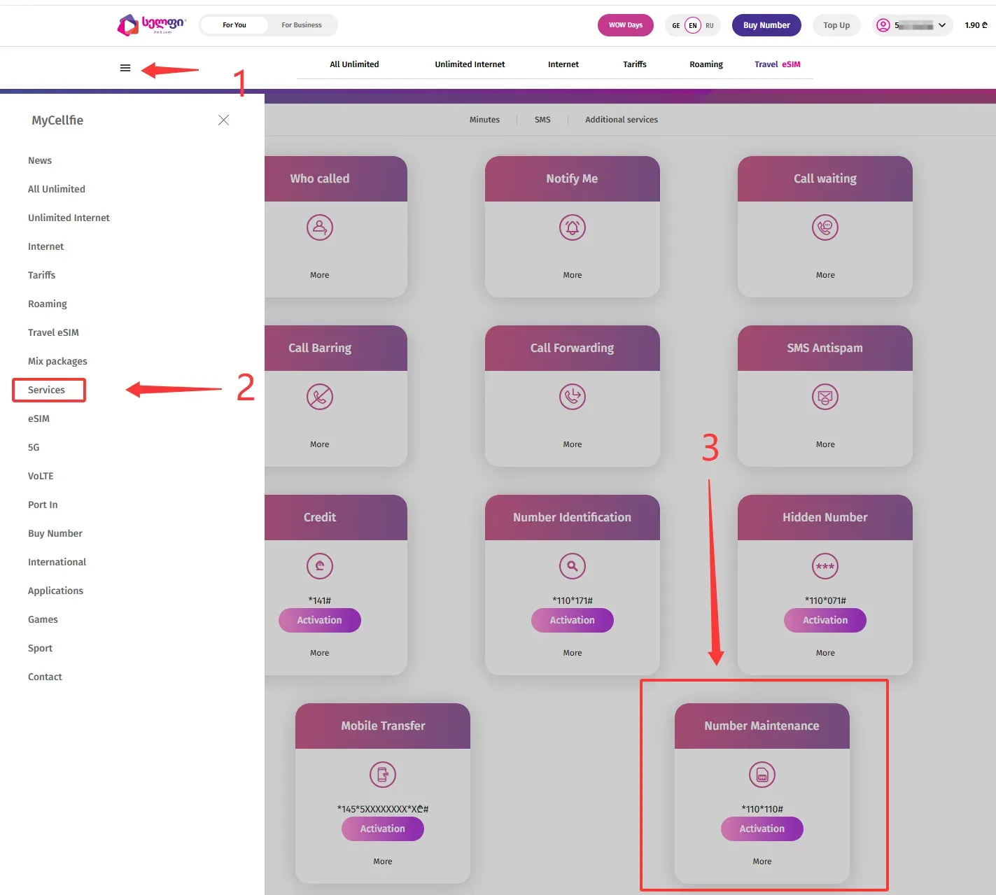 网页版 MyCellfie 菜单：点击左上角菜单 → Services → Additional services 标签，找到 Number Maintenance 卡片