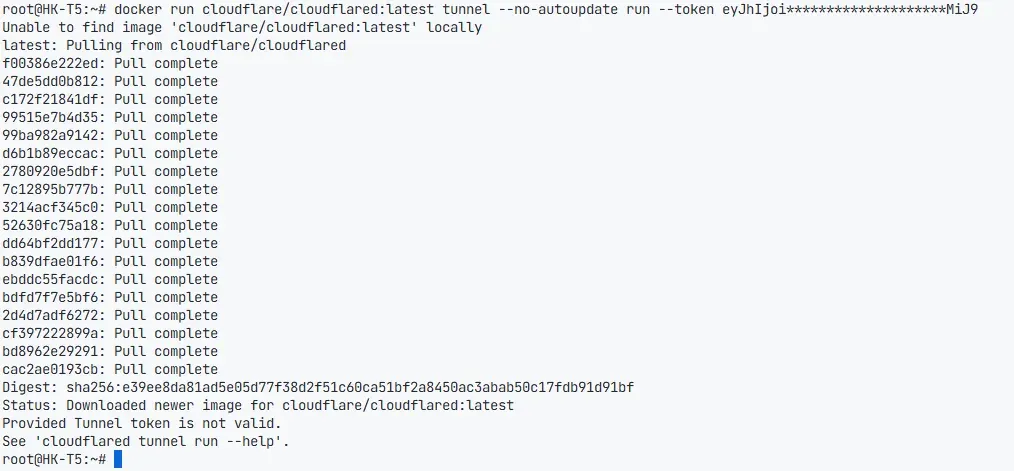 Docker 启动命令与 token